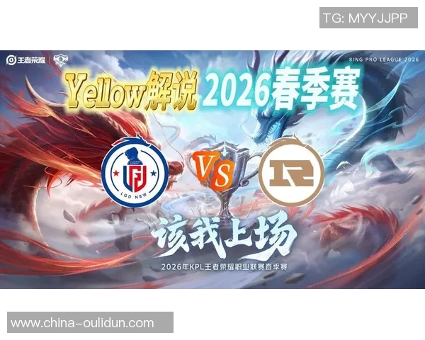 王者荣耀战队RNG的默契配合与战术分析探讨